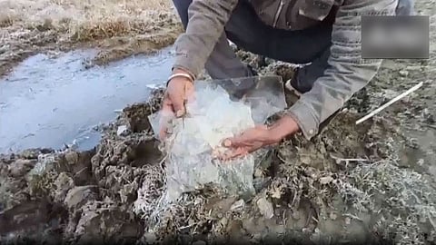 Mount Abu shivers as temperatures plunge to minus 7 degree C