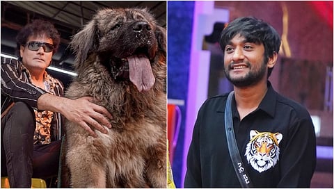 Dog Satish-Gilli Nata