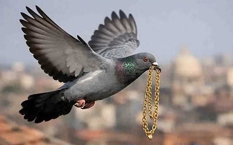 Representational image