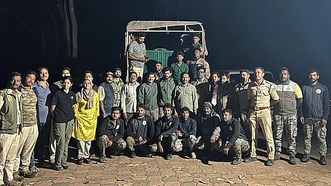 Tiger captured in Kodagu