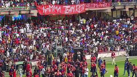  Chinnaswamy Stadium Casual Images