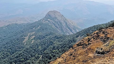 Tadiandamol trekking