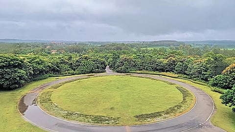 Monks of Eco Nalanda work in the fields every week 