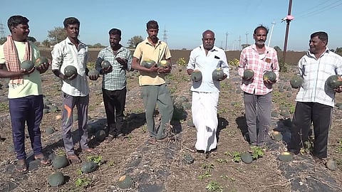 Farmers holding watermelons in protest on a field in Gadag district.