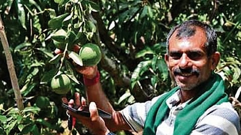 Bidadi Farmer 