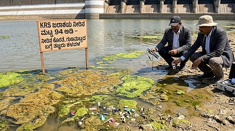 Representative image