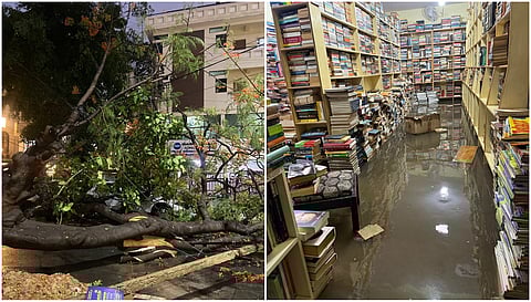Trees fell down, Popular bookstore Bookworm Bookshop flooded, nearly 5,000 books damaged