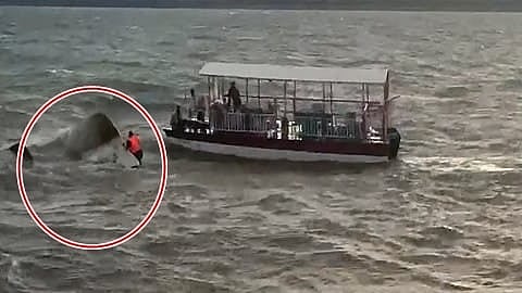 ಪ್ರತ್ಯಕ್ಷ ದೃಶ್ಯ