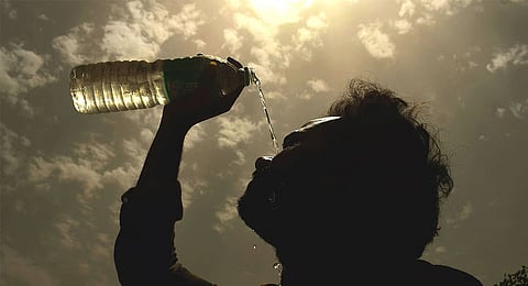 summer (file photo)