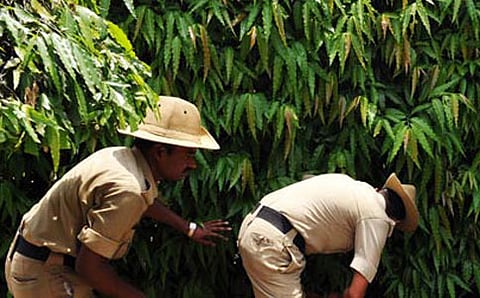 ಸೆಂಟ್ರಲ್ ಮಾಲ್ ಗೆ ಹುಸಿ ಬಾಂಬ್ ಕರೆ