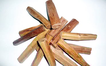 ಶ್ರೀಗಂಧ