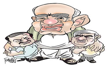 ಸ್ವಾರ್ಥಕ್ಕಾಗಿ ವಿದಳವಾಯ್ತು