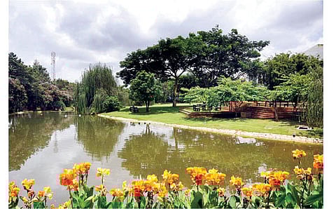 ವೆಲಂಕಣಿಯ ಹಸಿರು ಗಣಿ