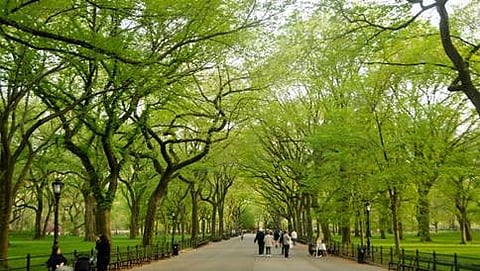 ಸಾಂದರ್ಭಿಕ ಚಿತ್ರ