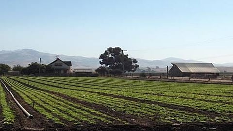 ಕ್ಯಾಲಿಫೋರ್ನಿಯಾದ ಕೃಷಿಭೂಮಿ(ಸಾಂಕೇತಿಕ ಚಿತ್ರ)