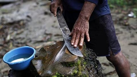 ಸಾಂದರ್ಭಿಕ ಚಿತ್ರ
