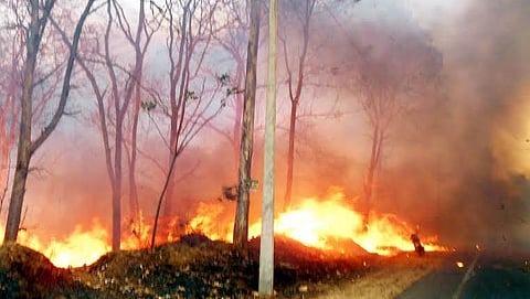 ಬೈಲುಕೊಪ್ಪೆ ಬಳಿ ಮಂಗಳವಾರ ಅರಣ್ಯಕ್ಕೆ ಬೆಂಕಿ ತಗಲಿ ಎರಡು ಕೋಟಿ ರುಪಾಯಿಗೂ ಅಧಿಕ ಮೌಲ್ಯದ ನೀಲಗಿರಿ ನಾಟಾ ಭಸ್ಮವಾಗಿದೆ.