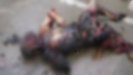 ಸಾಂದರ್ಭಿಕ ಚಿತ್ರ