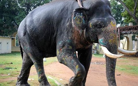 ಸಂಗ್ರಹ ಚಿತ್ರ