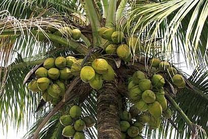 ಸಾಂದರ್ಭಿಕ ಚಿತ್ರ