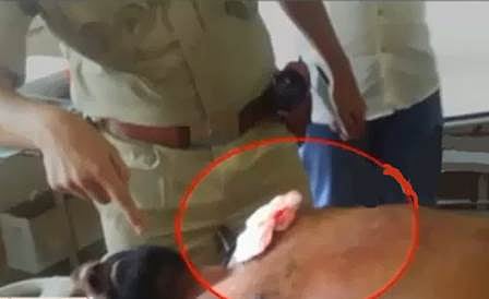 ಗಾಯಗೊಂಡಿರುವ ಜಿಲ್ಲಾ ಪಂಚಾಯತ್ ಮಾಜಿ ಸದಸ್ಯ ಹನುಮಂತನಾಗ