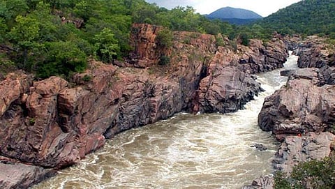ಮೇಕೆದಾಟು (ಸಂಗ್ರಹ ಚಿತ್ರ)
