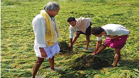 ಮಳೆ ಹೊಡೆತಕ್ಕೆ ಕಂಗಾಲಾದ ರೈತ