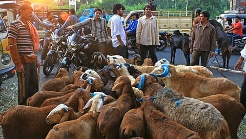 ಸಾಂದರ್ಭಿಕ ಚಿತ್ರ