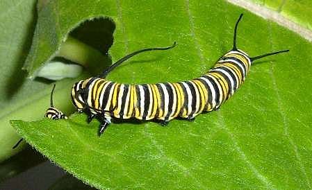 ಸಾಂದರ್ಭಿಕ ಚಿತ್ರ