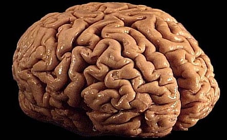 ಸಾಂದರ್ಭಿಕ ಚಿತ್ರ