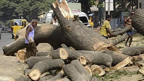 ಸಾಂದರ್ಭಿಕ ಚಿತ್ರ