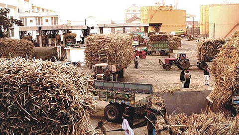 ಸಕ್ಕರೆ ಕಾರ್ಖಾನೆ