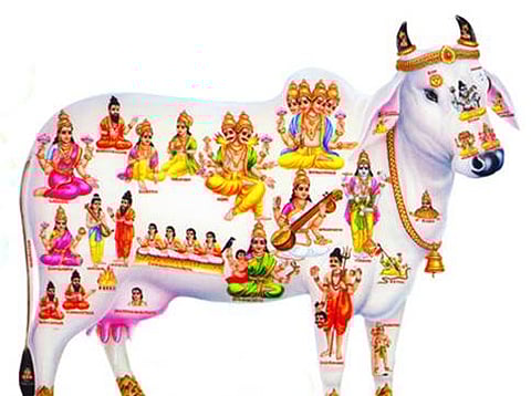 ಸಾಂದರ್ಭಿಕ ಚಿತ್ರ
