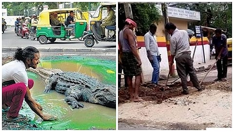 ರಸ್ತೆಯಲ್ಲಿದ್ದ ಮೊಸಳೆ-ರಸ್ತೆ ದುರಸ್ತಿ ಕಾಮಗಾರಿ