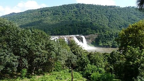 ಅರಣ್ಯ ಹಕ್ಕು ಕಾಯ್ದೆ ಜಾರಿಗೆ ಸೂಚನೆ (ಸಾಂದರ್ಭಿಕ ಚಿತ್ರ)