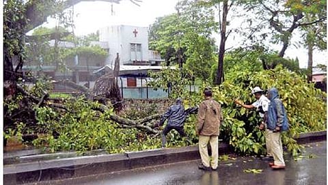 ಭಾನುವಾರ ಸುರಿದ ಭಾರಿ ಮಳೆಗೆ ಧರೆಗುರುಳಿದ ಮರವನ್ನು ತೆಗೆಯಲು ಹರಸಾಹಸ ಪಡುತ್ತಿರುವ ಅಧಿಕಾರಿಗಳು