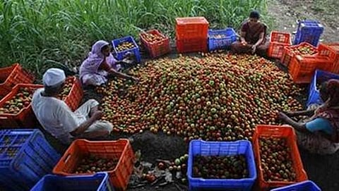 ಗ್ರಾಮೀಣ ಆರ್ಥಿಕತೆ(ಸಾಂದರ್ಭಿಕ ಚಿತ್ರ)