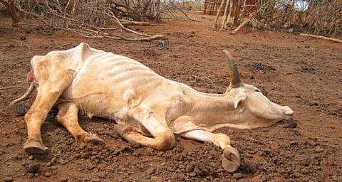 ಸಾಂದರ್ಭಿಕ ಚಿತ್ರ