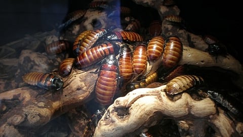 ಸಾಂದರ್ಭಿಕ ಚಿತ್ರ