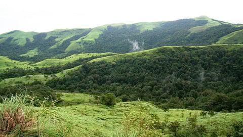 ಪಶ್ಚಿಮಘಟ್ಟಗಳು (ಸಂಗ್ರಹ ಚಿತ್ರ)