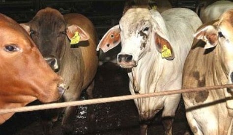ಸಾಂದರ್ಭಿಕ ಚಿತ್ರ