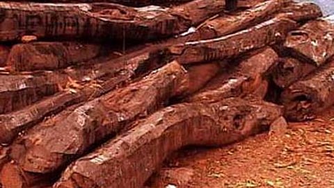 ರಕ್ತ ಚಂದನ ವಶ (ಸಂಗ್ರಹ ಚಿತ್ರ)