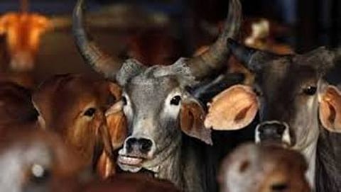 ಗೋಮಾಂಸ ಕೊಂಡೊಯ್ಯುತ್ತಿದ್ದಾರೆ ಎಂಬ ಶಂಕೆ: ರೈಲಿನಲ್ಲಿದ್ದ ಮುಸ್ಲಿಂ ದಂಪತಿಗಳ ಮೇಲೆ ಹಲ್ಲೆ