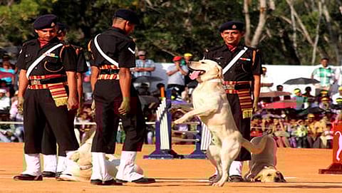 ಸಾಂದರ್ಭಿಕ ಚಿತ್ರ