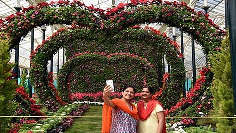 ಲಾಲ್ ಬಾಗ್ ನಲ್ಲಿ ಶುರುವಾಯ್ತು ಹೂವುಗಳ ಚಿತ್ತಾರ