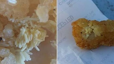 ಕೆಎಫ್ ಸಿ ಚಿಕನ್ ನಲ್ಲಿ ಮೊಟ್ಟೆ, ಜೀವಂತ ಹುಳು ಪತ್ತೆ