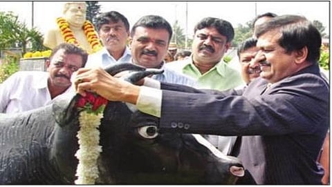 ಡೇರಿ ಡೇ ಕಾರ್ಯಕ್ರಮದಲ್ಲಿ ಭಾಗವಹಿಸಿದ್ದ  ಡಾ.ಸಿಎನ್ ಮಂಜುನಾಥ್