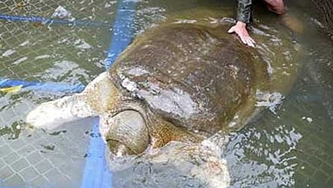 ಸಂಗ್ರಹ ಚಿತ್ರ