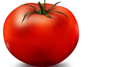 ಸಾಂದರ್ಭಿಕ ಚಿತ್ರ