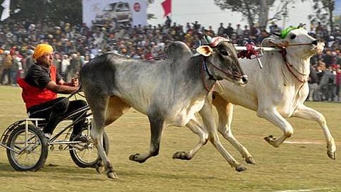 ಸಾಂದರ್ಭಿಕ ಚಿತ್ರ